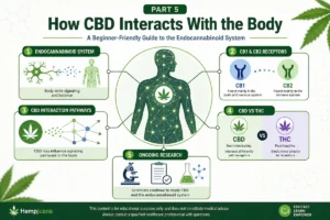 Part 5: How CBD Interacts with the Body